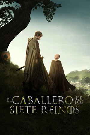 1 - El caballero errante